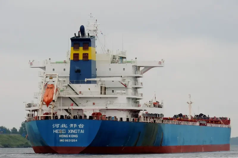 OCEAN ALIGNMENT Bulk Carrier IMO 9631254 photo 10