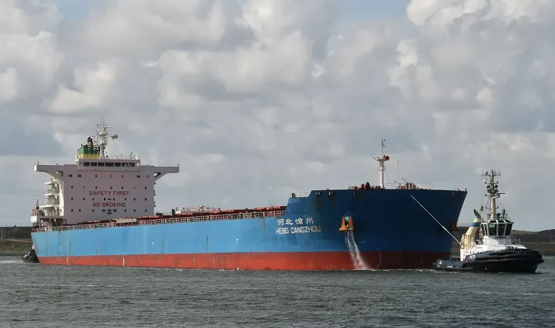 FLOURISH POWER Bulk Carrier IMO 9631266