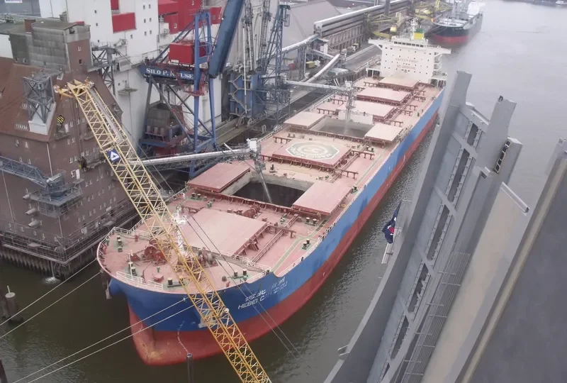 FLOURISH POWER Bulk Carrier IMO 9631266 photo 2