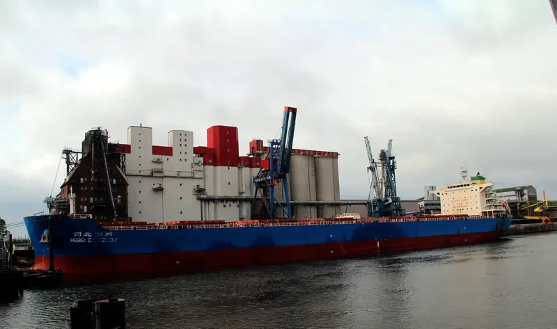 FLOURISH POWER Bulk Carrier IMO 9631266 photo 3