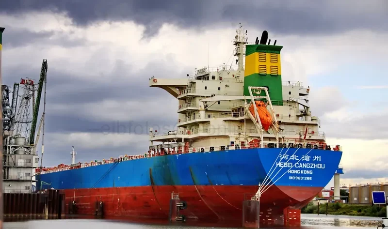 FLOURISH POWER Bulk Carrier IMO 9631266 photo 5