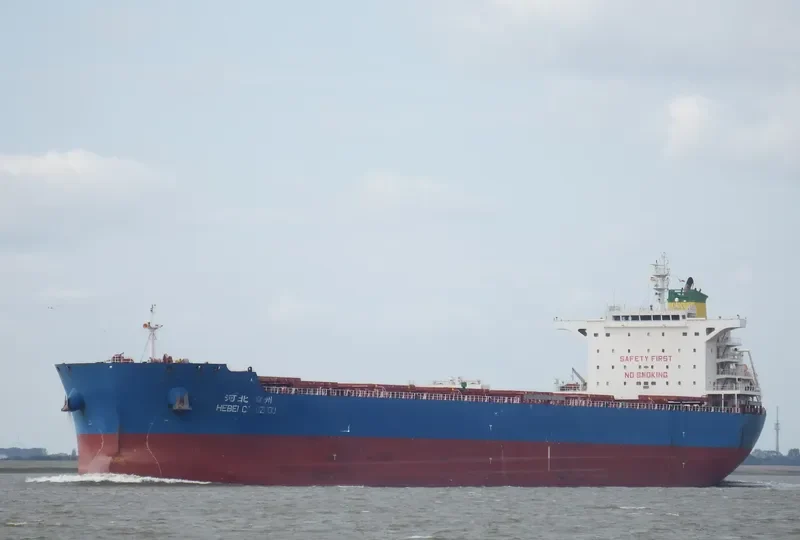 FLOURISH POWER Bulk Carrier IMO 9631266 photo 6