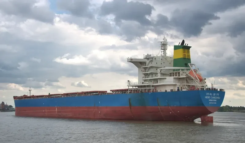 FLOURISH POWER Bulk Carrier IMO 9631266 photo 8