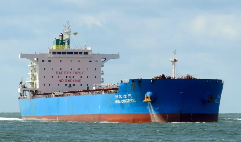 FLOURISH POWER Bulk Carrier IMO 9631266 photo 10