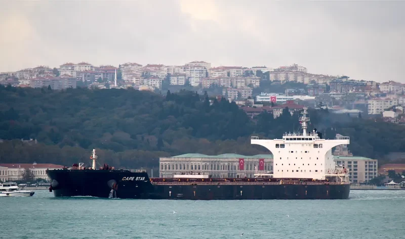 CAPE STARS Bulk Carrier IMO 9631321 photo 4
