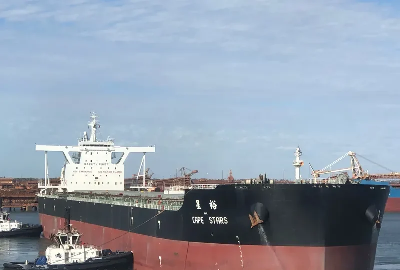 CAPE STARS Bulk Carrier IMO 9631321 photo 9