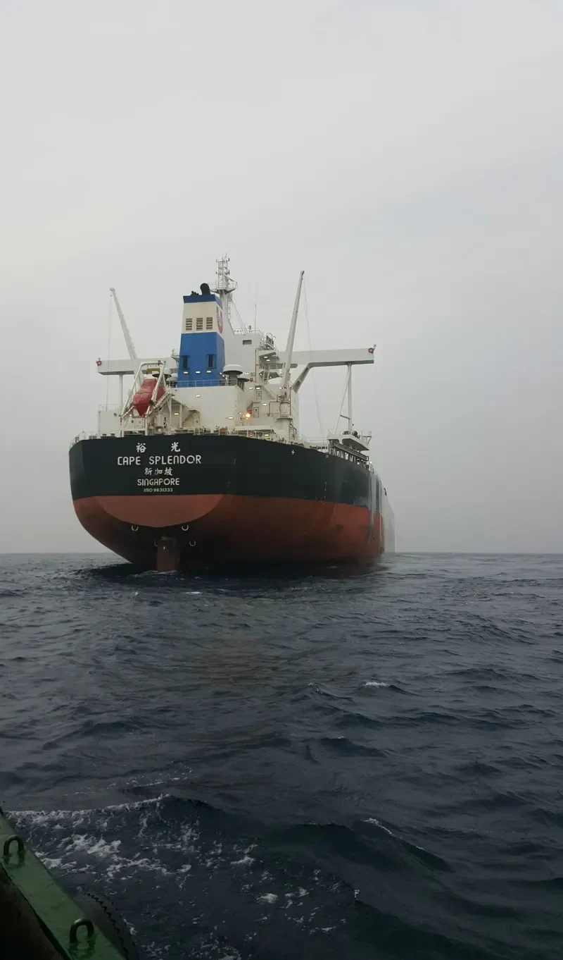 CAPE SPLENDOR Bulk Carrier IMO 9631333