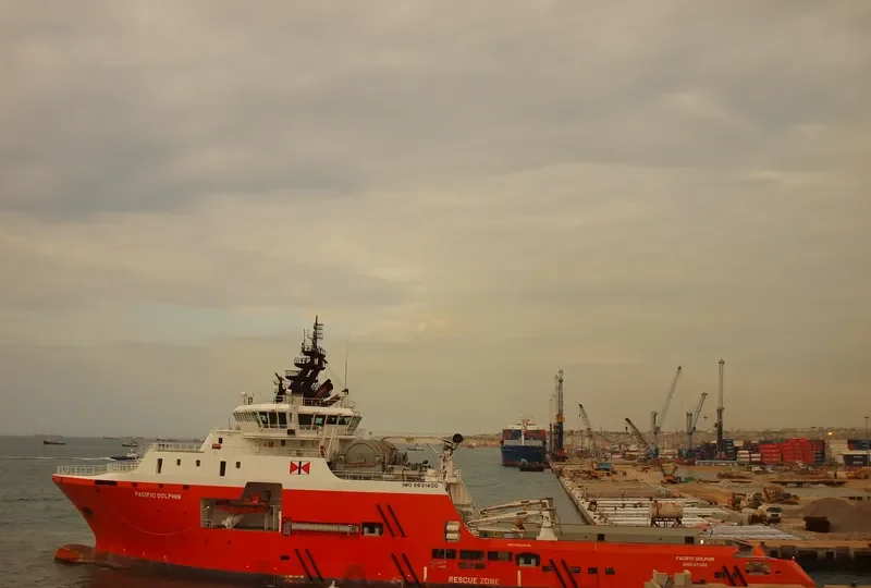 PACIFIC DOLPHIN General Cargo IMO 9631400