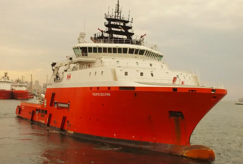 PACIFIC DOLPHIN General Cargo IMO 9631400 photo 3