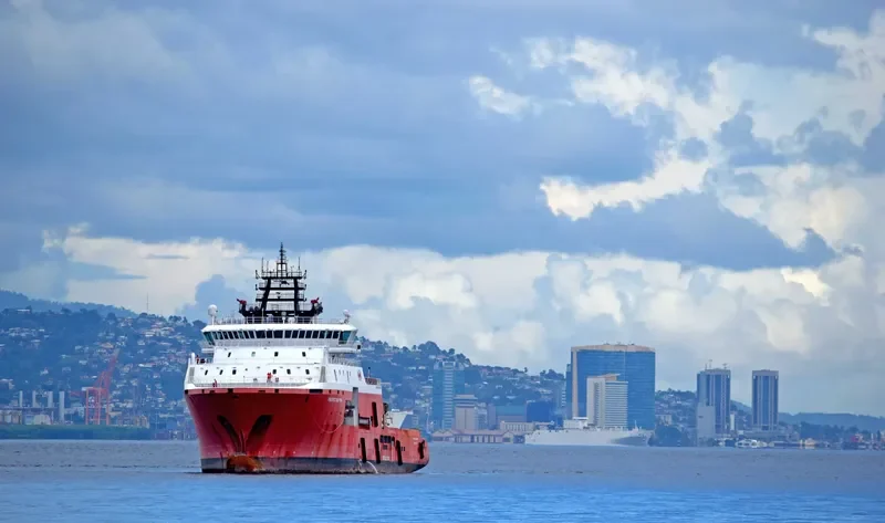 PACIFIC DOLPHIN General Cargo IMO 9631400 photo 5