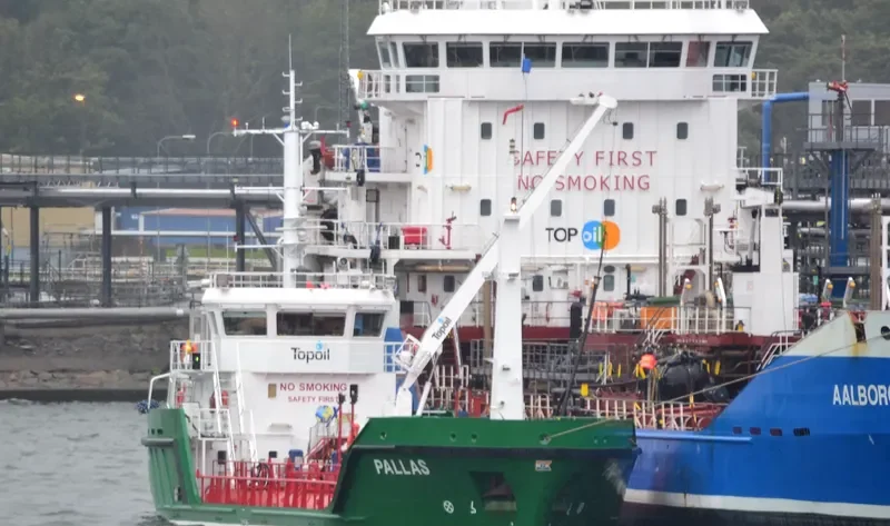 HALTBAKK VIKING General Cargo IMO 9631436 photo 3