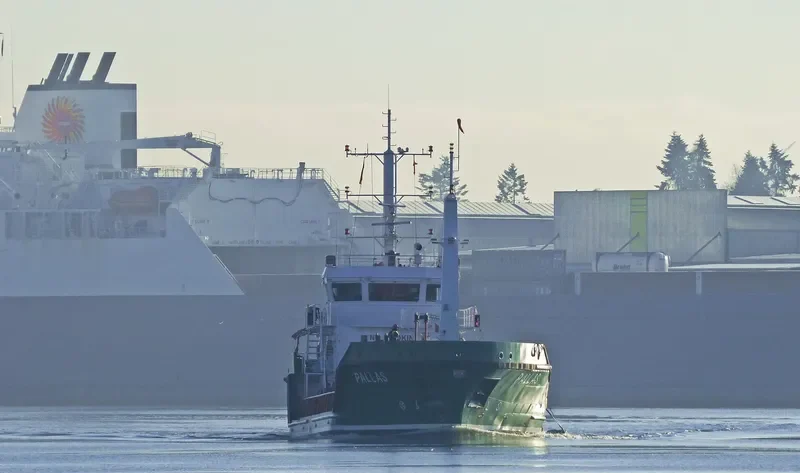 HALTBAKK VIKING General Cargo IMO 9631436 photo 8