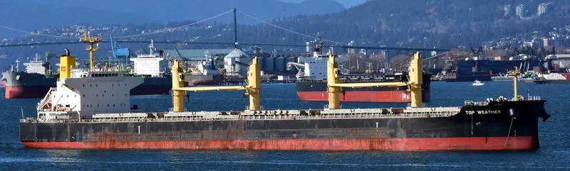 TOP WEATHER Bulk Carrier IMO 9631462 photo 6