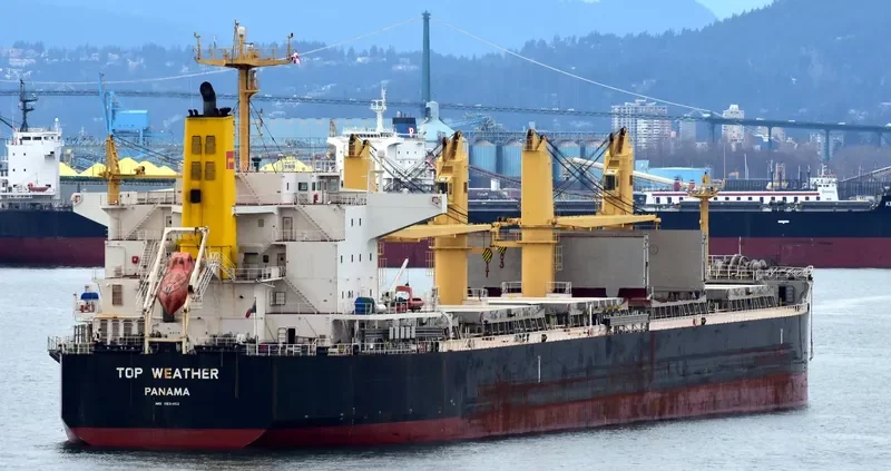 TOP WEATHER Bulk Carrier IMO 9631462 photo 7