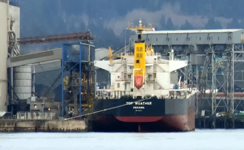 TOP WEATHER Bulk Carrier IMO 9631462 photo 8