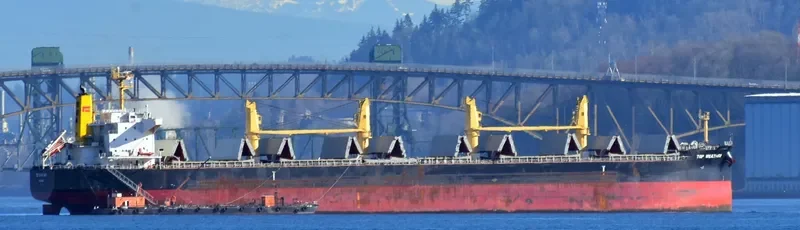 TOP WEATHER Bulk Carrier IMO 9631462 photo 9