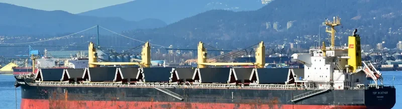 TOP WEATHER Bulk Carrier IMO 9631462 photo 10