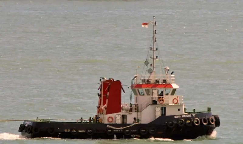 BINA MARINE 77 General Cargo IMO 9631553