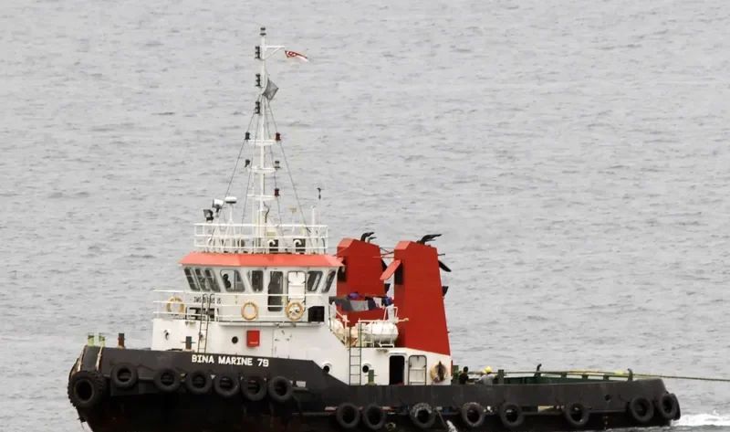 BINA MARINE 79 General Cargo IMO 9631565
