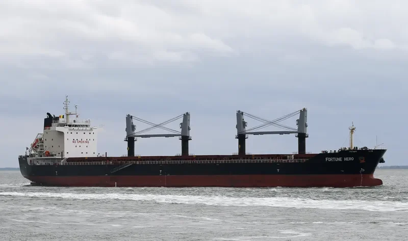 FORTUNE HERO Bulk Carrier IMO 9631694