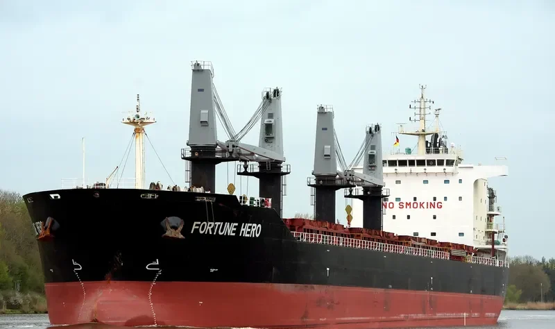 FORTUNE HERO Bulk Carrier IMO 9631694 photo 2