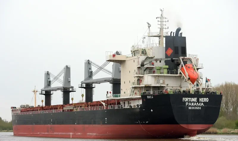 FORTUNE HERO Bulk Carrier IMO 9631694 photo 3