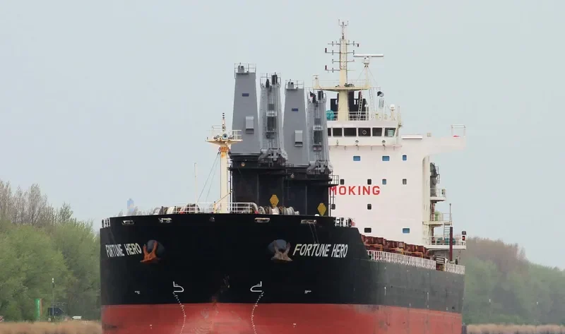 FORTUNE HERO Bulk Carrier IMO 9631694 photo 4