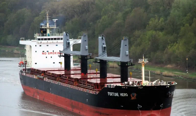 FORTUNE HERO Bulk Carrier IMO 9631694 photo 7