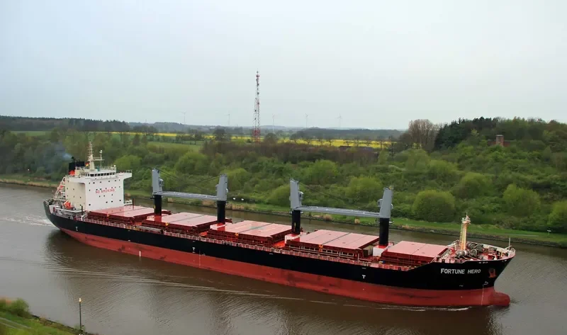 FORTUNE HERO Bulk Carrier IMO 9631694 photo 8