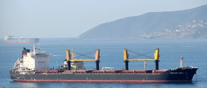 FORTUNE HERO Bulk Carrier IMO 9631694 photo 9
