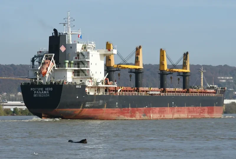 FORTUNE HERO Bulk Carrier IMO 9631694 photo 10