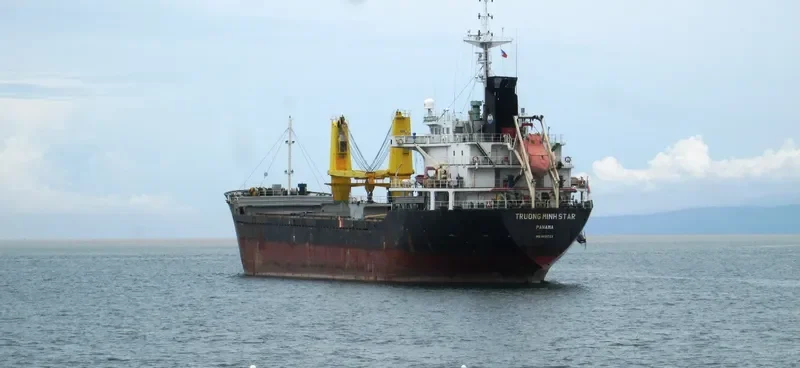 TRUONG MINH STAR Bulk Carrier IMO 9631723