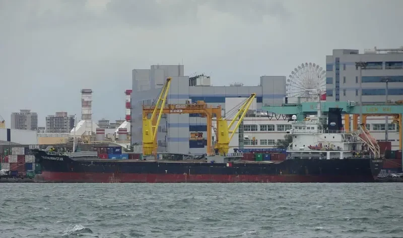 TRUONG MINH STAR Bulk Carrier IMO 9631723 photo 3