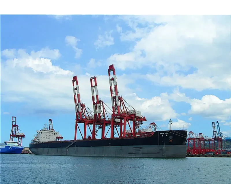 SHUN YING Bulk Carrier IMO 9631826 photo 3
