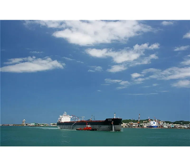 SHUN YING Bulk Carrier IMO 9631826 photo 6