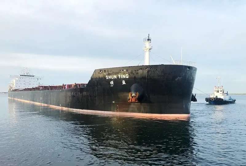 SHUN YING Bulk Carrier IMO 9631826 photo 7