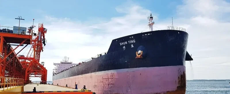 SHUN YING Bulk Carrier IMO 9631826 photo 8