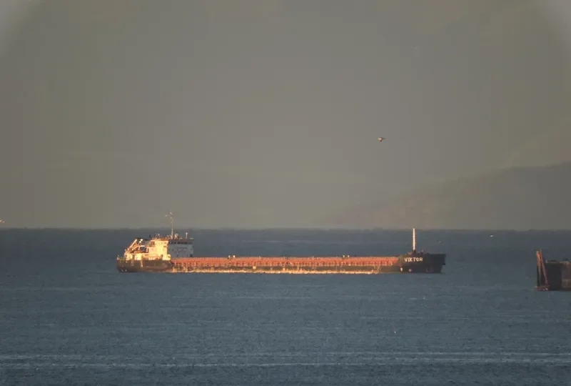 VIKTOR General Cargo IMO 9631929
