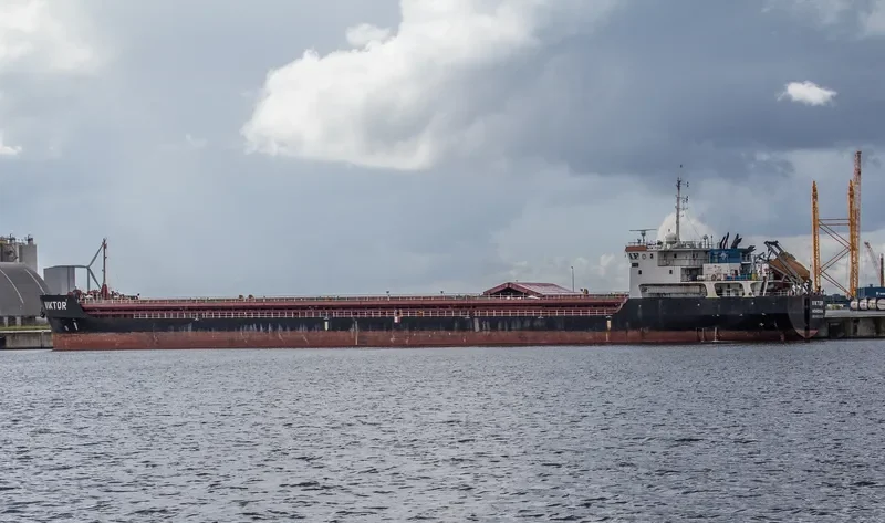 VIKTOR General Cargo IMO 9631929 photo 3