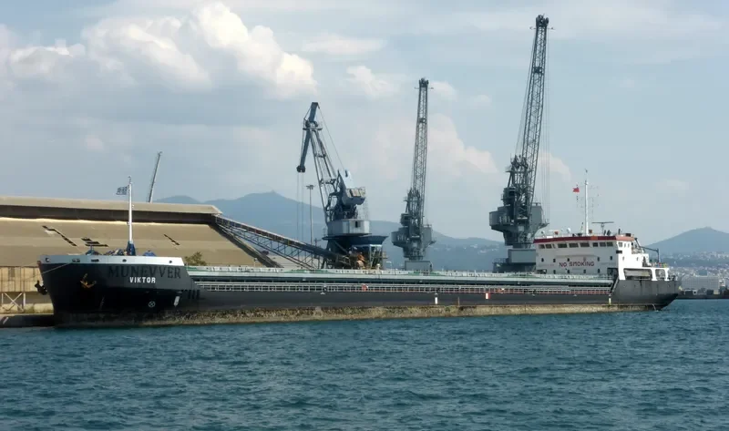 VIKTOR General Cargo IMO 9631929 photo 9