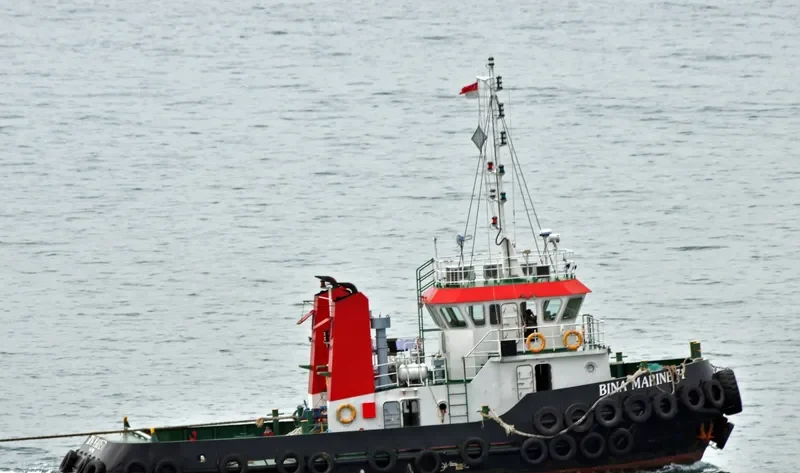 BINA MARINE 71 General Cargo IMO 9631931 photo 3
