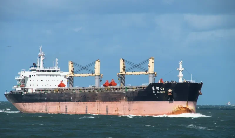 BI JIA SHAN Bulk Carrier IMO 9632272 photo 10