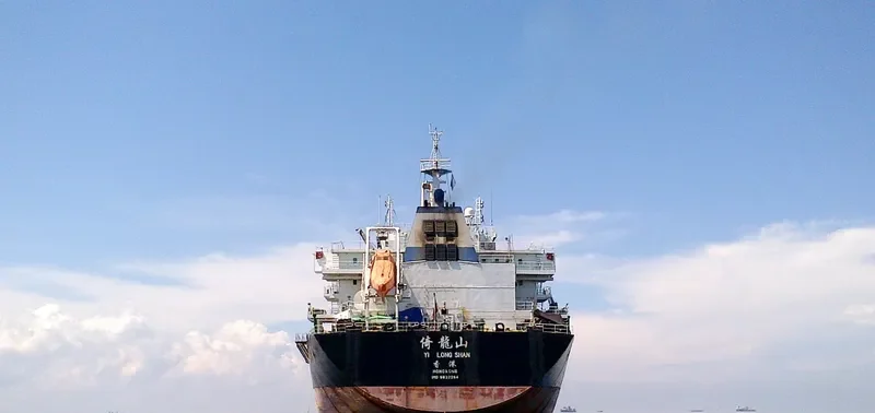 YI LONG SHAN Bulk Carrier IMO 9632284 photo 2