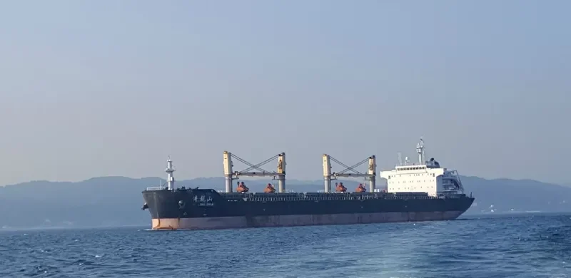 YI LONG SHAN Bulk Carrier IMO 9632284 photo 3