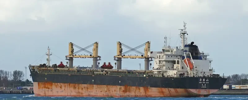 SHOU CHEN SHAN Bulk Carrier IMO 9632296 photo 2
