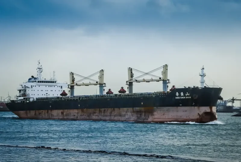 SHOU CHEN SHAN Bulk Carrier IMO 9632296 photo 6