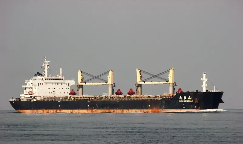 SHOU CHEN SHAN Bulk Carrier IMO 9632296 photo 8