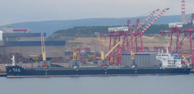 FU QUAN SHAN Bulk Carrier IMO 9632301 photo 5