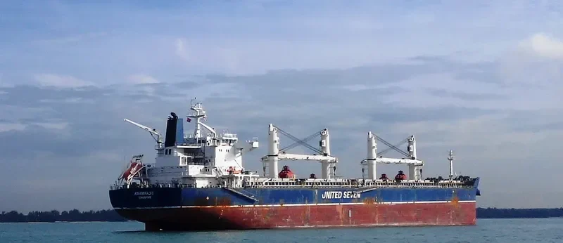 JIN MING 82 Bulk Carrier IMO 9632600