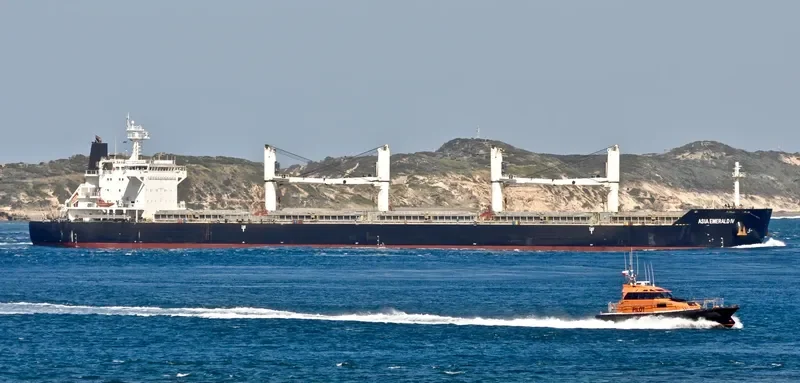 XING HONG DA 8 Bulk Carrier IMO 9632612 photo 4